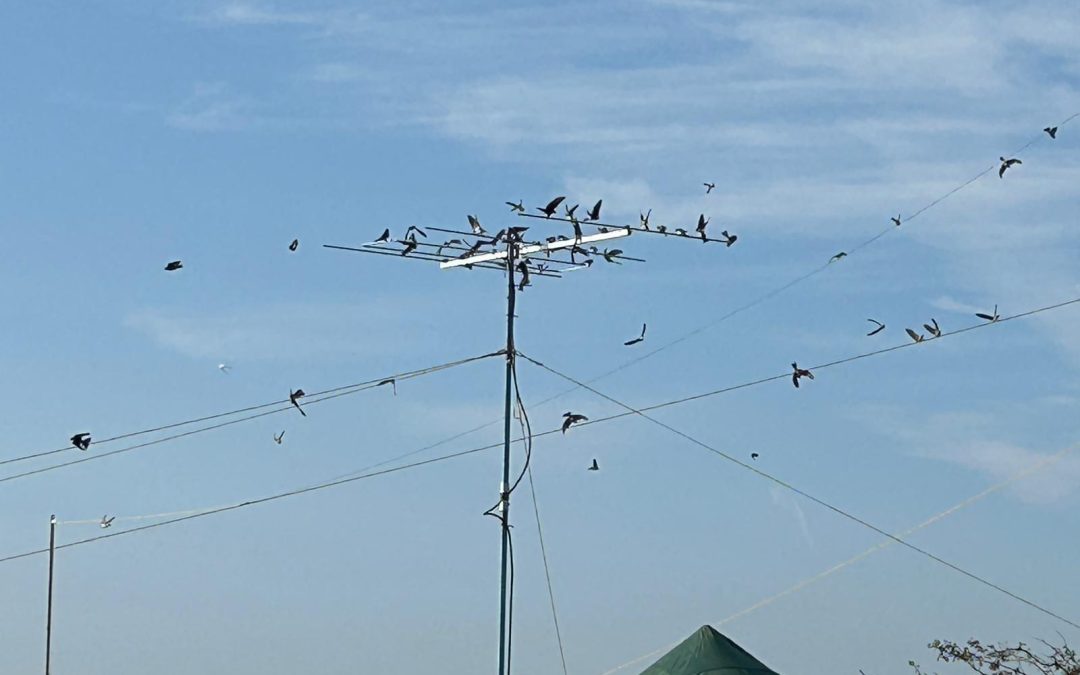 Club Meeting (Antennas)